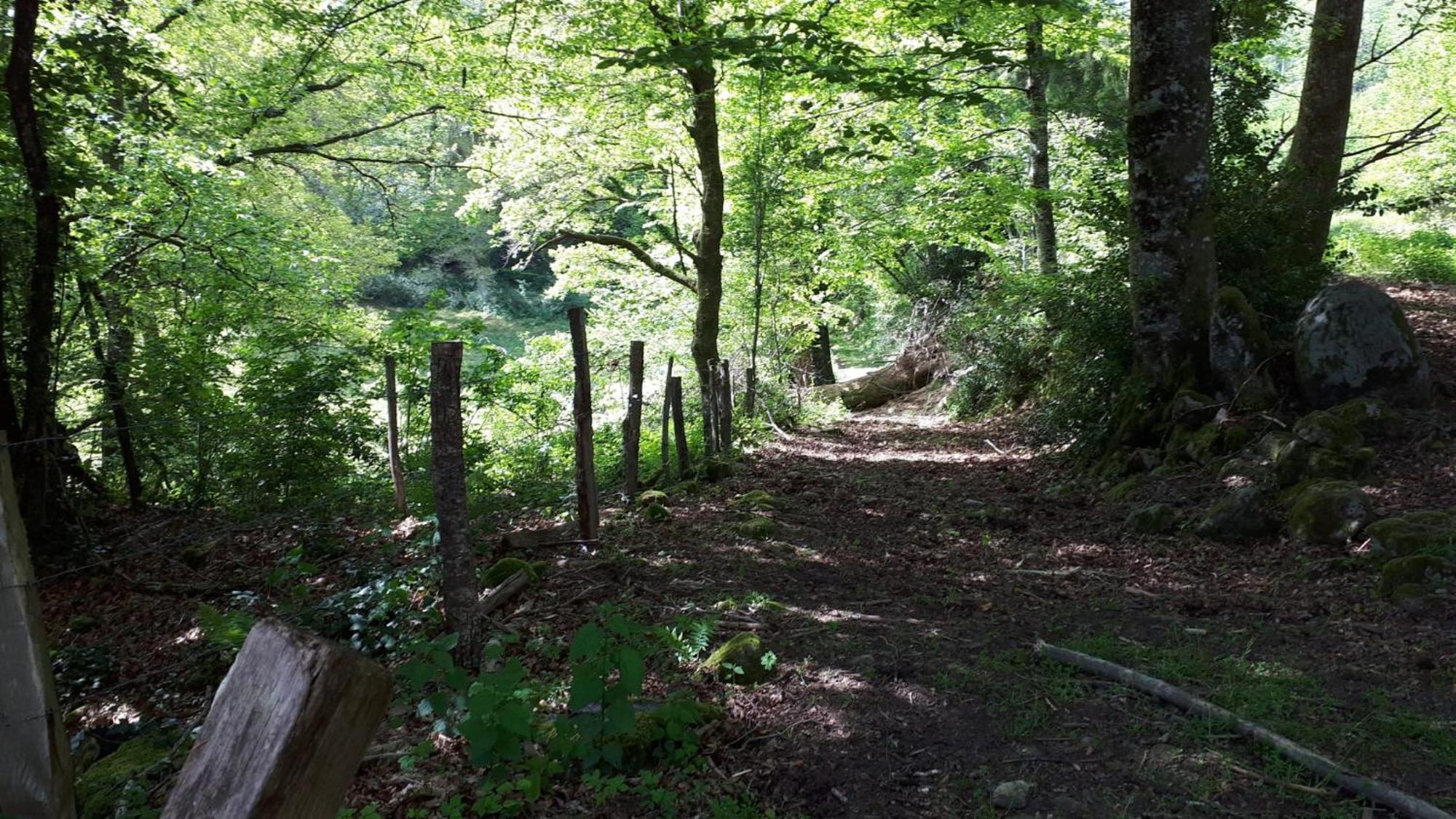Holiday home Belle Longere De 10 Couchages - De Vassiviere Beaumont-du-Lac